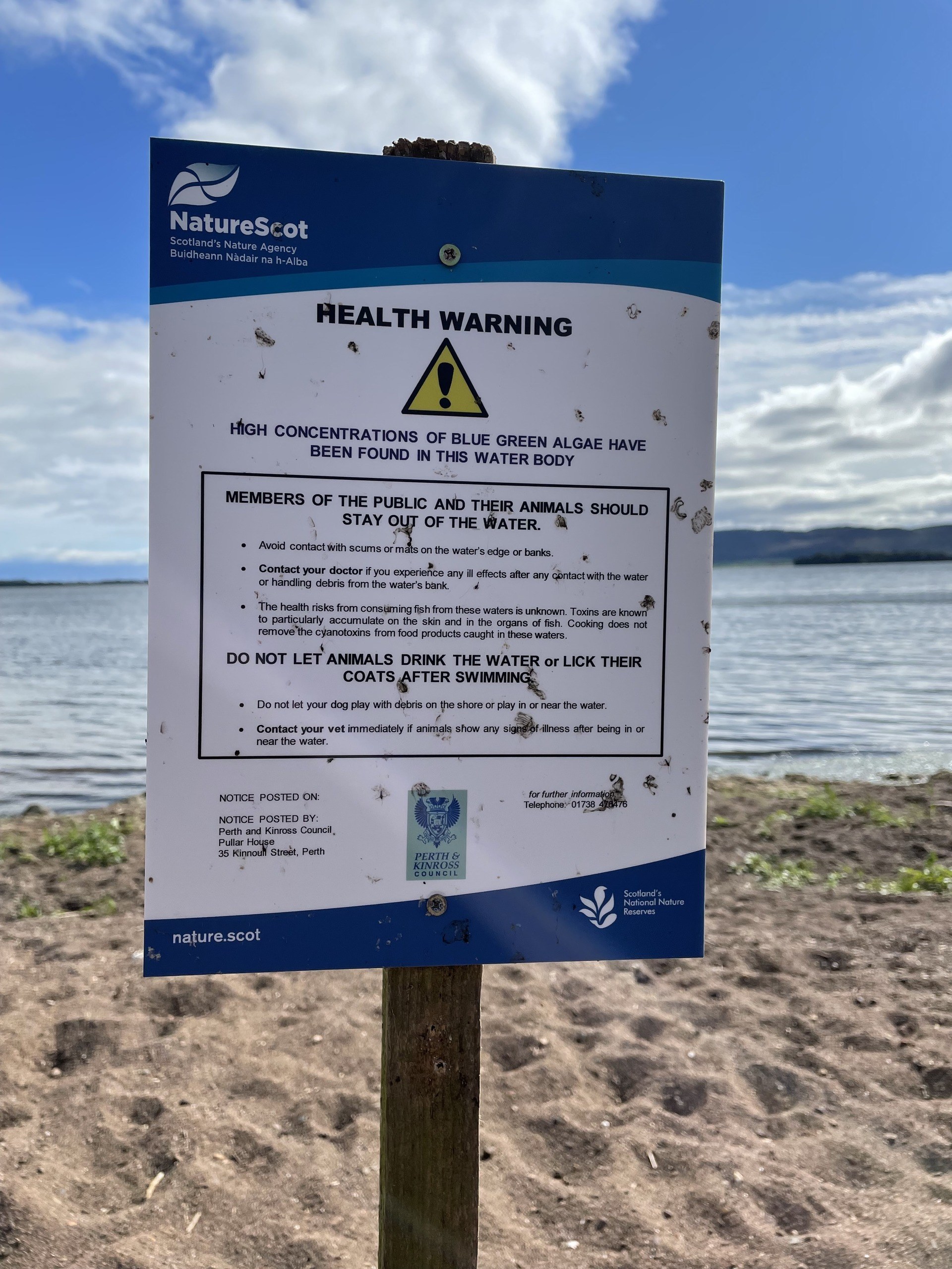 'High concentrations' of blue-green algae have been found in the loch.