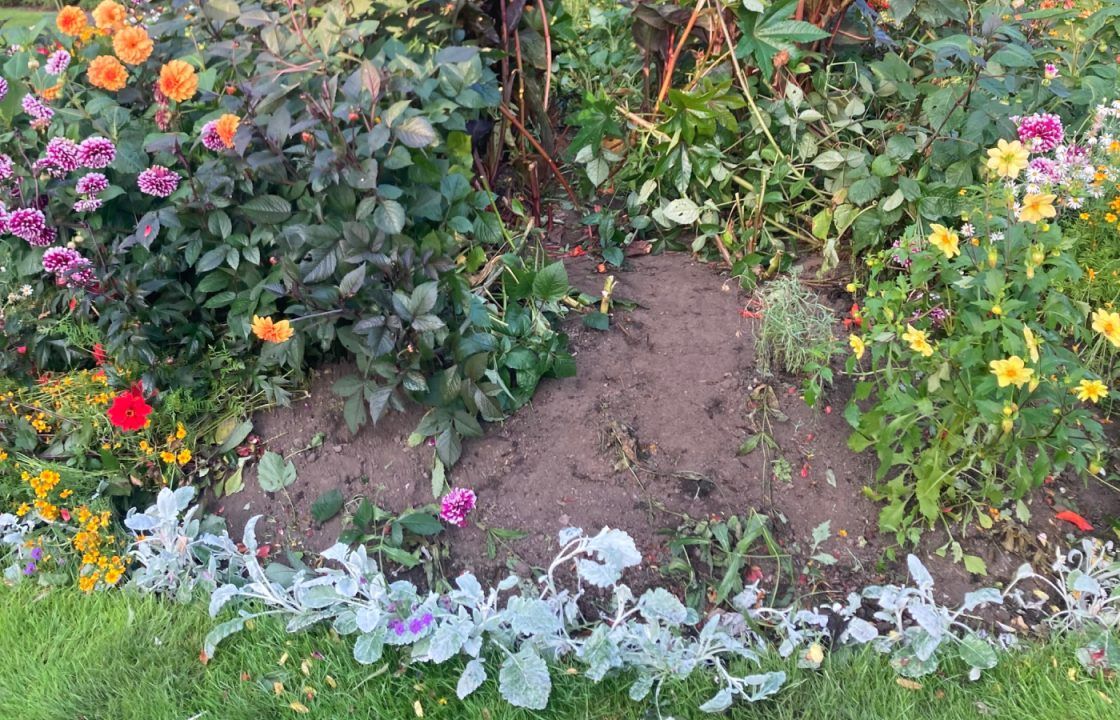 Angry residents in Haddington hit out after vandals destroy flower beds and colourful displays