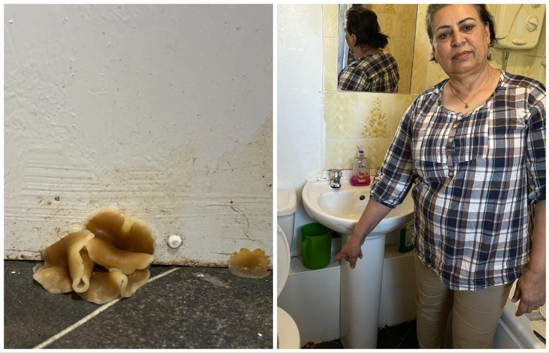 Gran living with mushrooms in damp Glasgow flat without water for a year