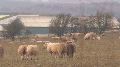 Scottish farming needs change warning conservation group