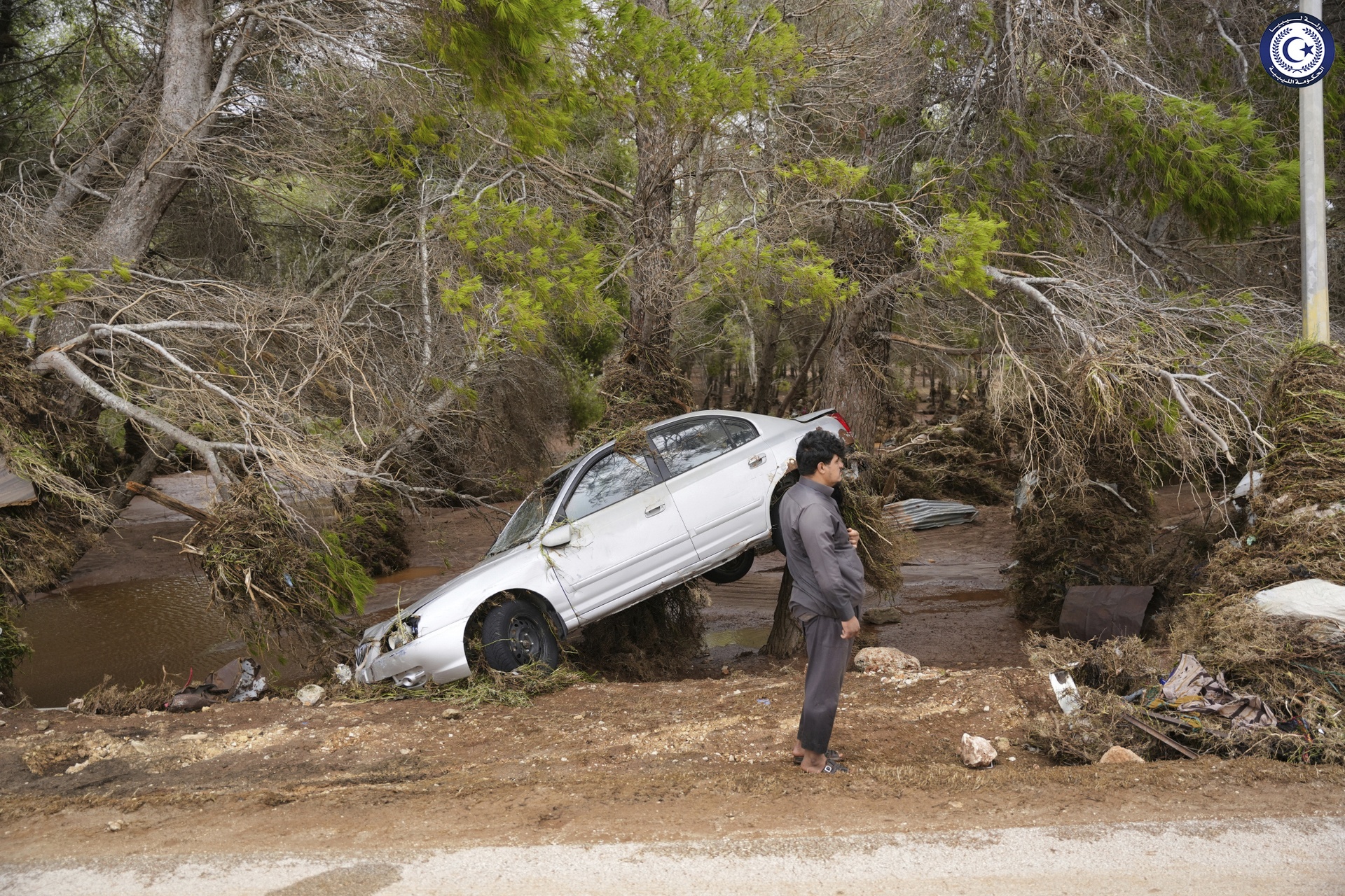 A car sits partly suspended in trees after being carried by floodwaters in Derna, Libya.