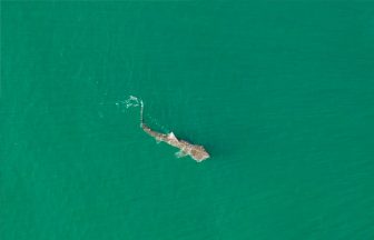 Filmmaker delighted to catch ‘beautiful’ basking shark off the coast of Dunbar