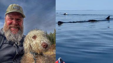 WATCH: Incredible moment kayaker and his dog meet pod of basking sharks off Nairn coast