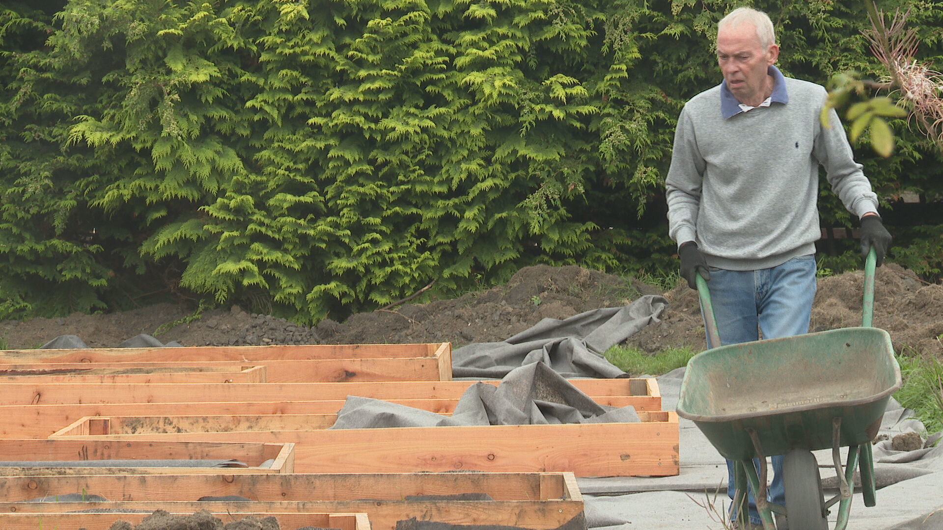 David Bell has been coming to the Hutchison neighbourhood garden since the first day it started. 