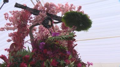 Local florists showcase work at international Botanic Gardens event