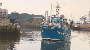 Scientists advice decrease in North Sea cod quotas