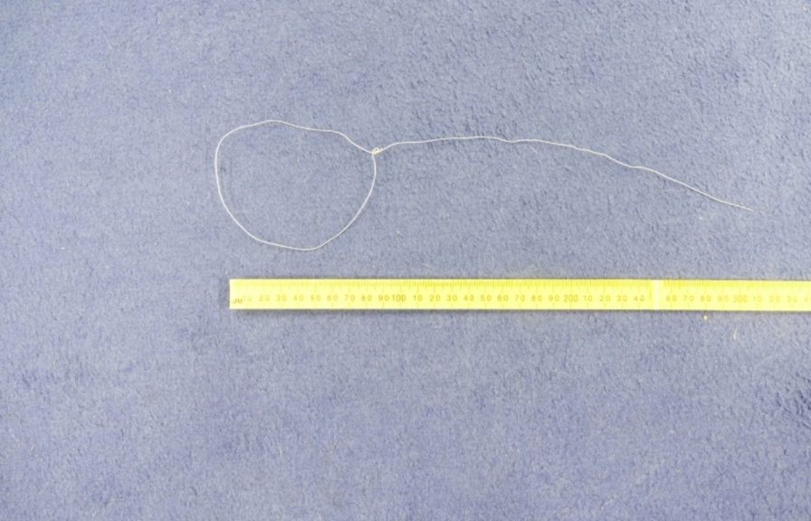 Illegal homemade wire snares found around perimeter of Dundee's