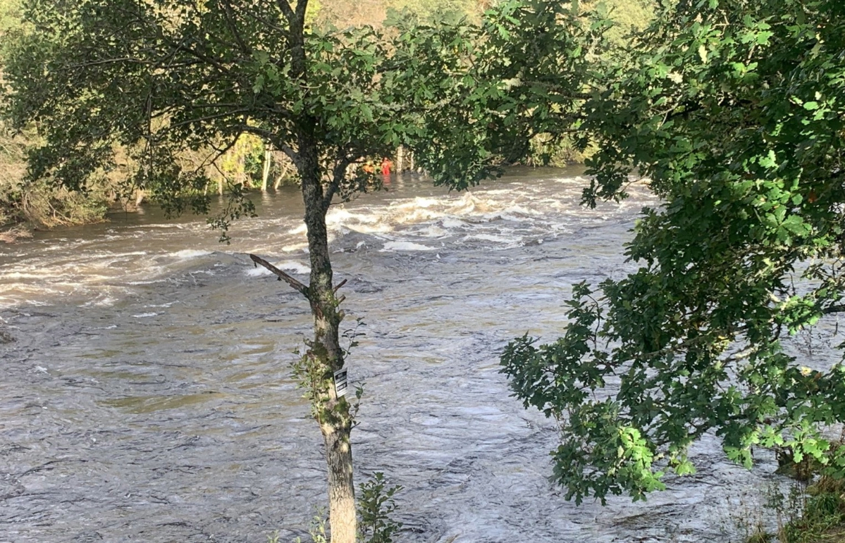 An urgent search is ongoing for an elderly man swept into the River Tay amid widespread flooding. 