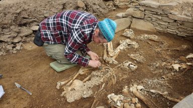 Archaeologists discover 5,000 year old tomb on Orkney