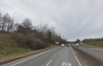 Injured woman dies after being found on Edinburgh bypass in early hours