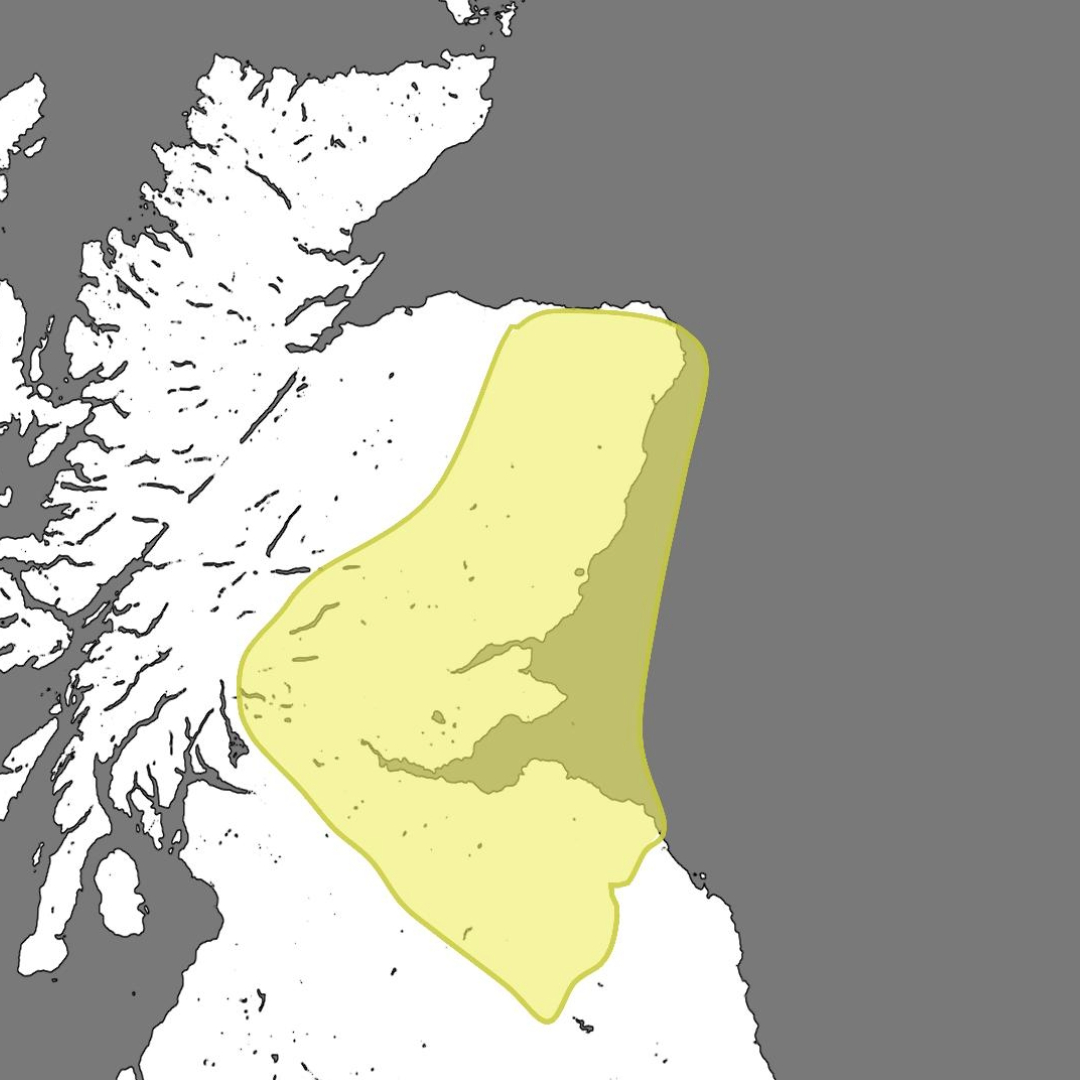 Yellow warning for rain across eastern Scotland.