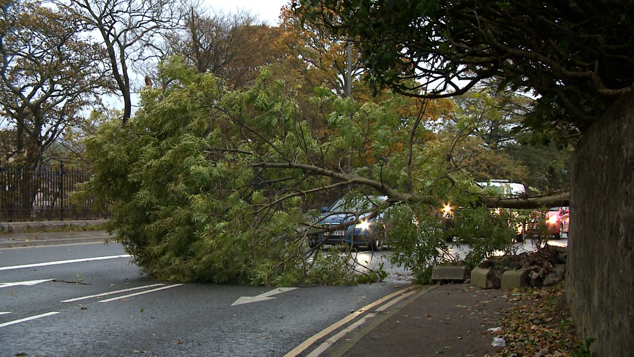 Full list of schools closed as Scotland braces for Storm Eowyn