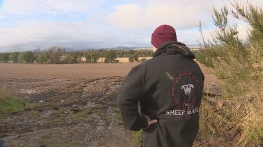 Bill for Storm Babet destruction will hit millions say farmer’s union