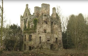Restoration of Cavers Castle near Hawick approved after Hawaiian owner agrees to newt protection