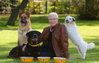 Battersea dogs home names veterinary hospital in honour of late Paul O’Grady