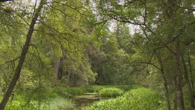 Bid launched for new national park in Highland Perthshire