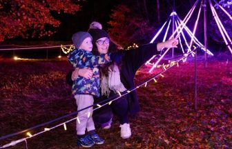 Illuminated woodlands at Gosford House set to host guests with additional support needs in East Lothian