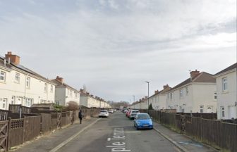 Murder probe launched after man dies following fatal ‘XL bully’ attack in Sunderland