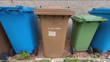Brown bin permit raises £1.9m for Glasgow Council in under two years