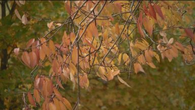 New tools developed to help tackle Seasonal Affective Disorder