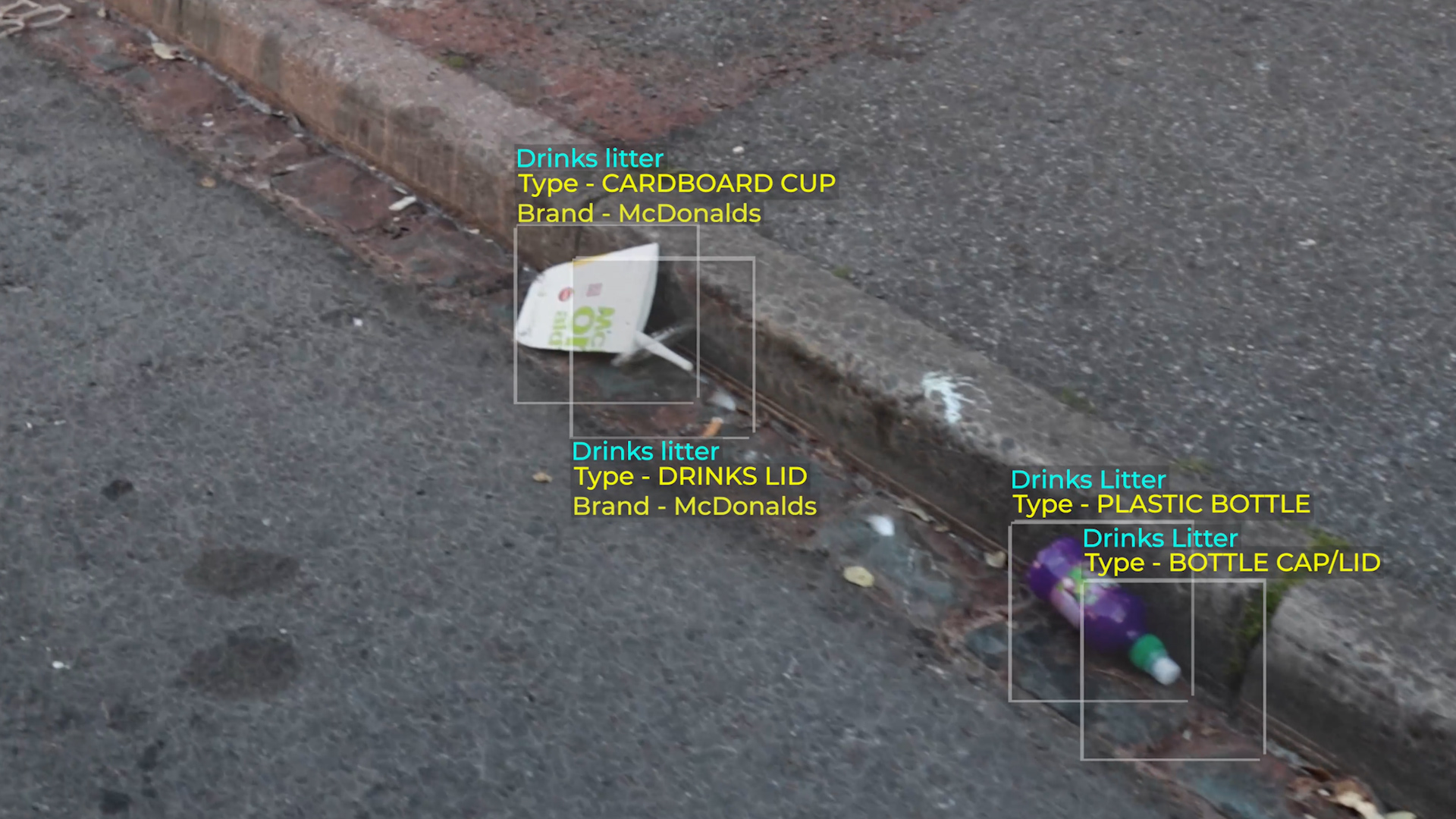 The types of litter identified near city's roads.