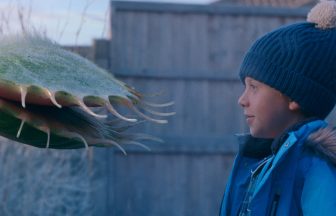 What is the 2023 John Lewis Venus flytrap Christmas advert about and where can I watch it