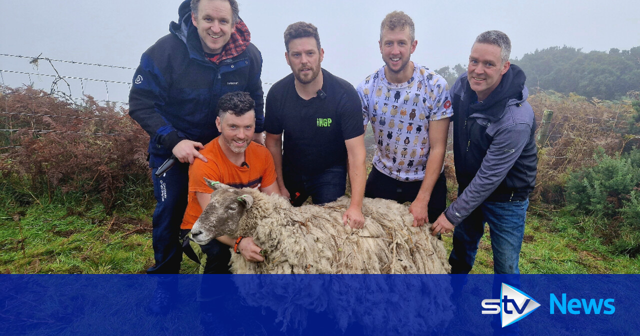 Animal activists protest outside new farm home of ‘Britain’s loneliest sheep’ at Dumfries