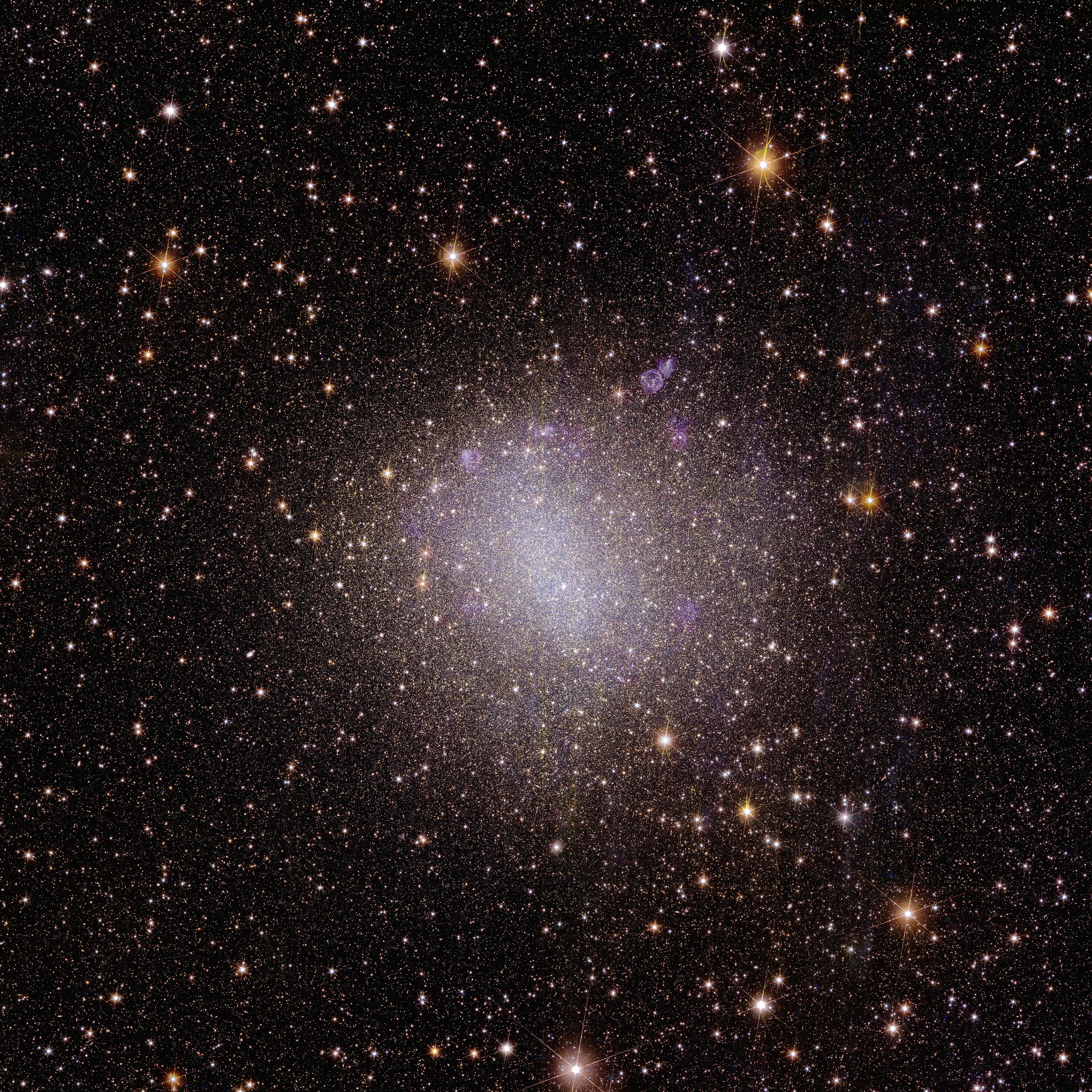 Euclid’s view of the irregular dwarf galaxy called NGC 6822 