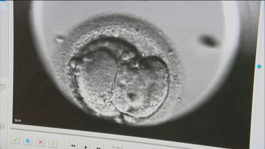 Children to be able to track down sperm or egg donors