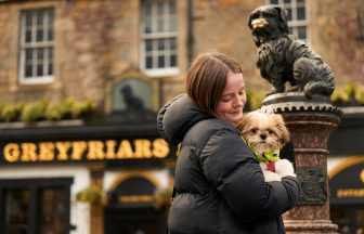 Edinburgh Dog and Cat Home take in ‘staggering’ number of pets as families struggle with cost of living crisis