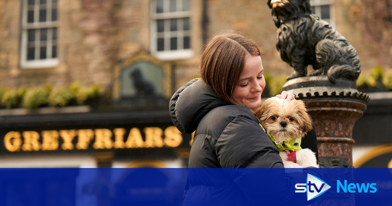 Edinburgh Dog and Cat Home take in 'staggering' number of pets as