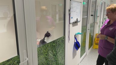 New £1.16m Cats Protection homing centre opens in Glasgow