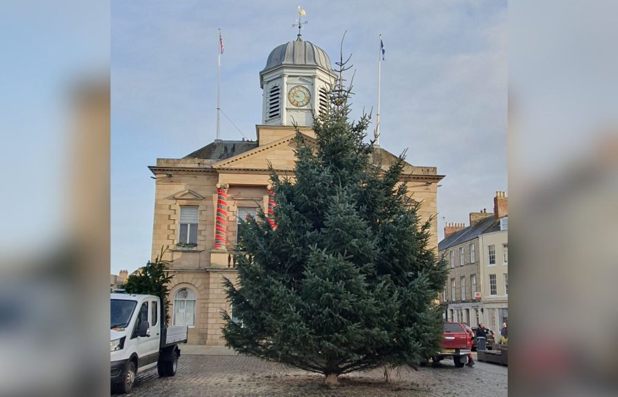 Scottish Borders Council forced to replace town centre Christmas trees