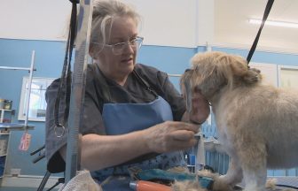 Dog groomer from Denny has no regrets about travelling to Latvia for gastric bypass operation to lose weight