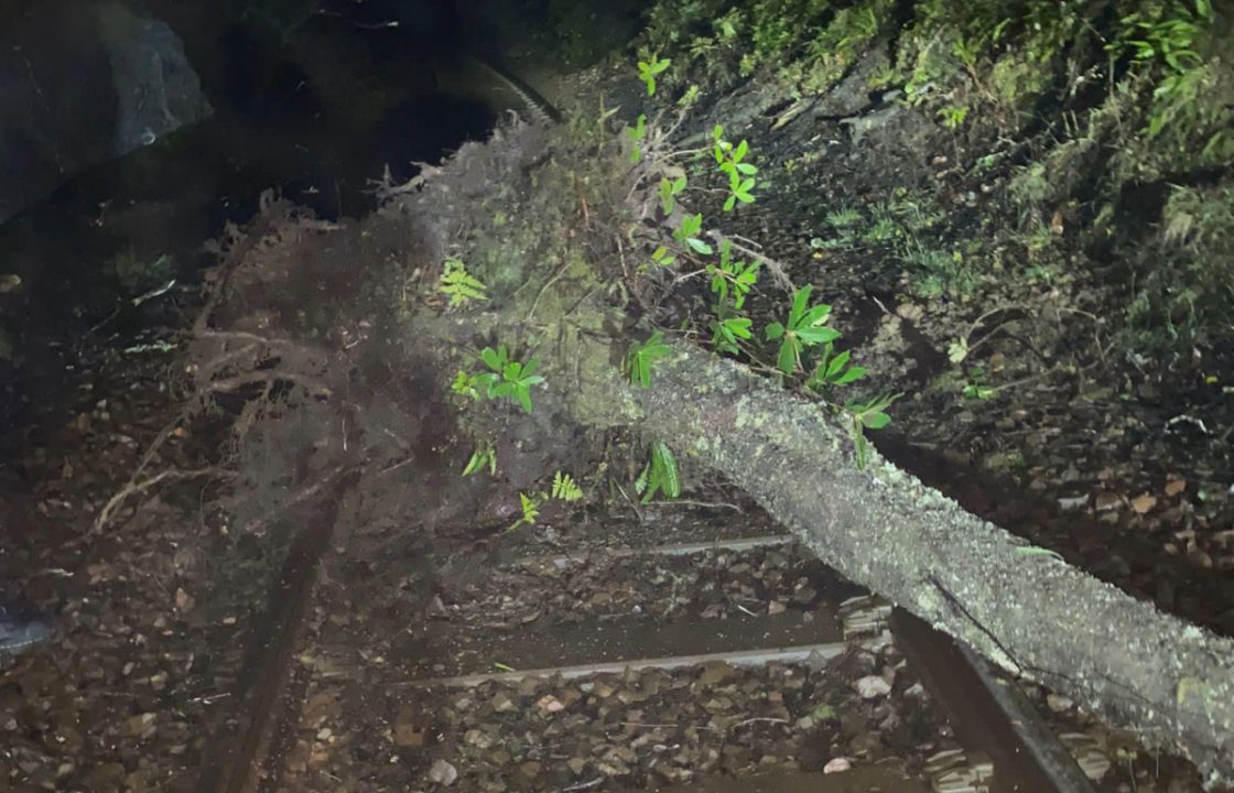 Two trains cancelled between Glasgow and Oban after tree falls onto tracks blocking line