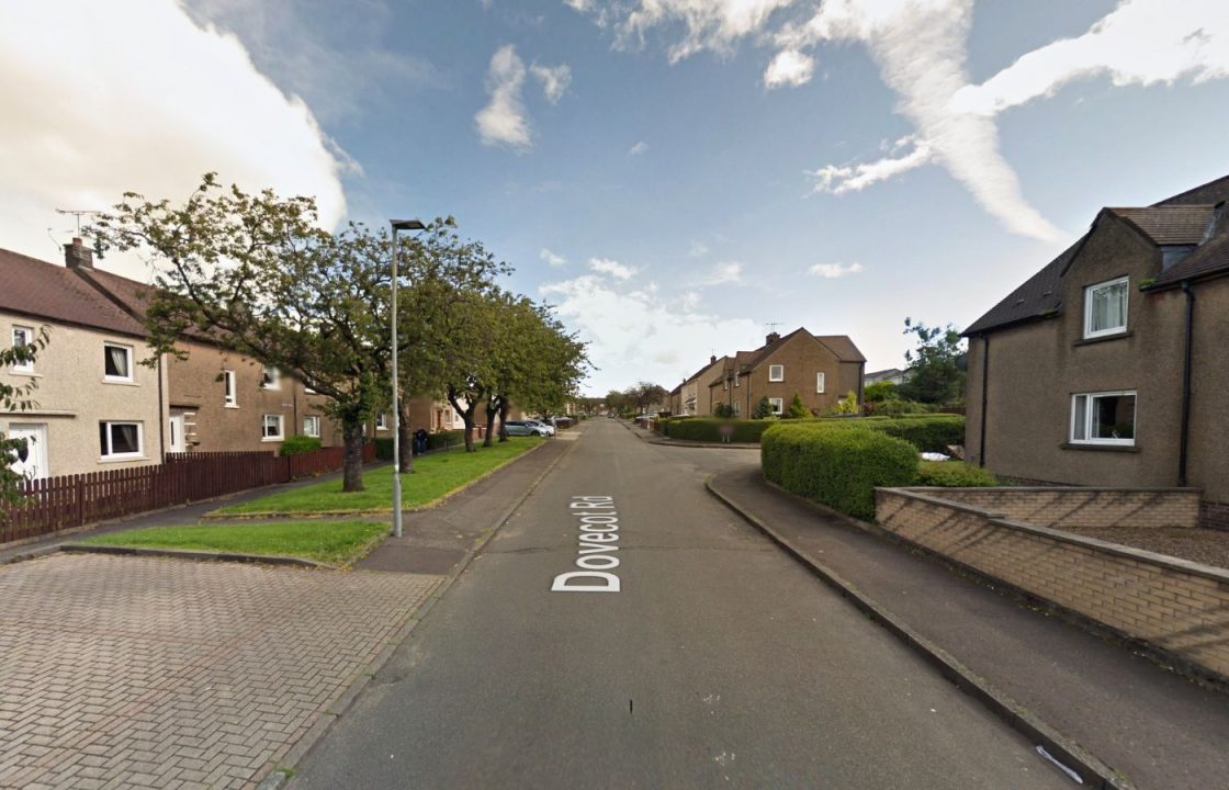 Woman in hospital after attack by XL bully type dog in Clackmannanshire