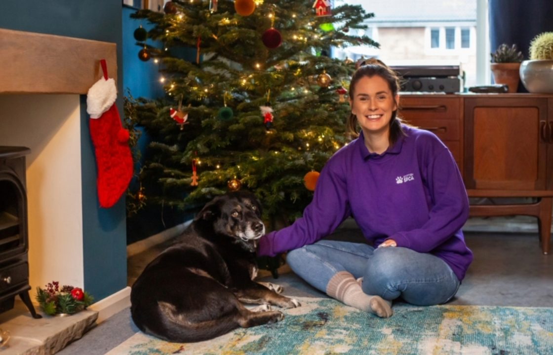 Scottish SPCA issues warning on how to keep pets safe from food and decorations this Christmas