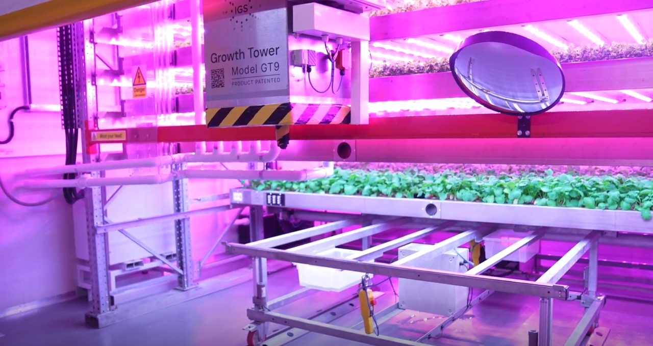 Scots unveil vertical farm with 12m growth towers at COP28 in Dubai