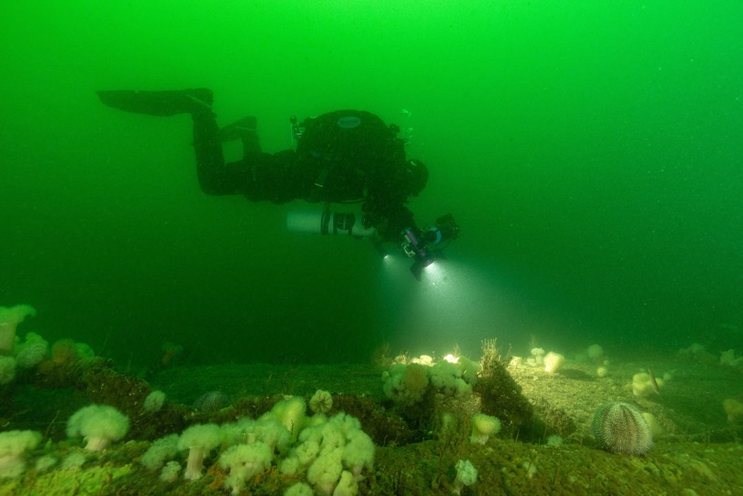 German First World War submarine was deliberately sunk, 3D map suggests from Dundee University suggests