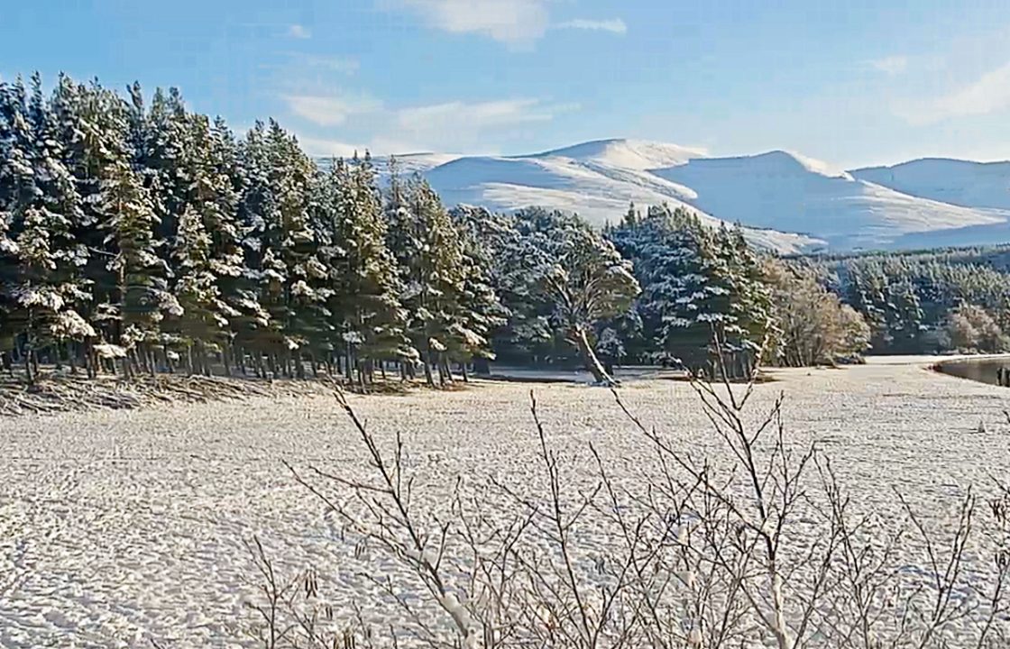 Webcam captures stunning ‘Bob Ross-style’ views of snow covered landscape at Loch Morlich