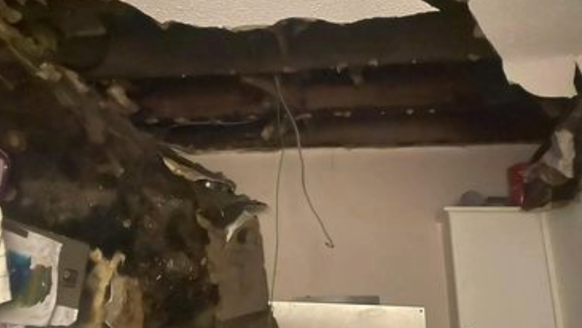 Mother with twins ‘left with nothing’ at Christmas after ceiling collapses in Armadale, West Lothian