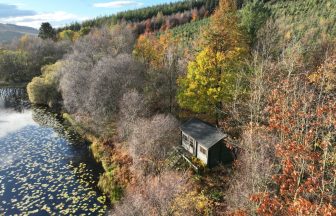 ‘Peaceful’ lochside sanctuary, complete with cabin, goes on sale