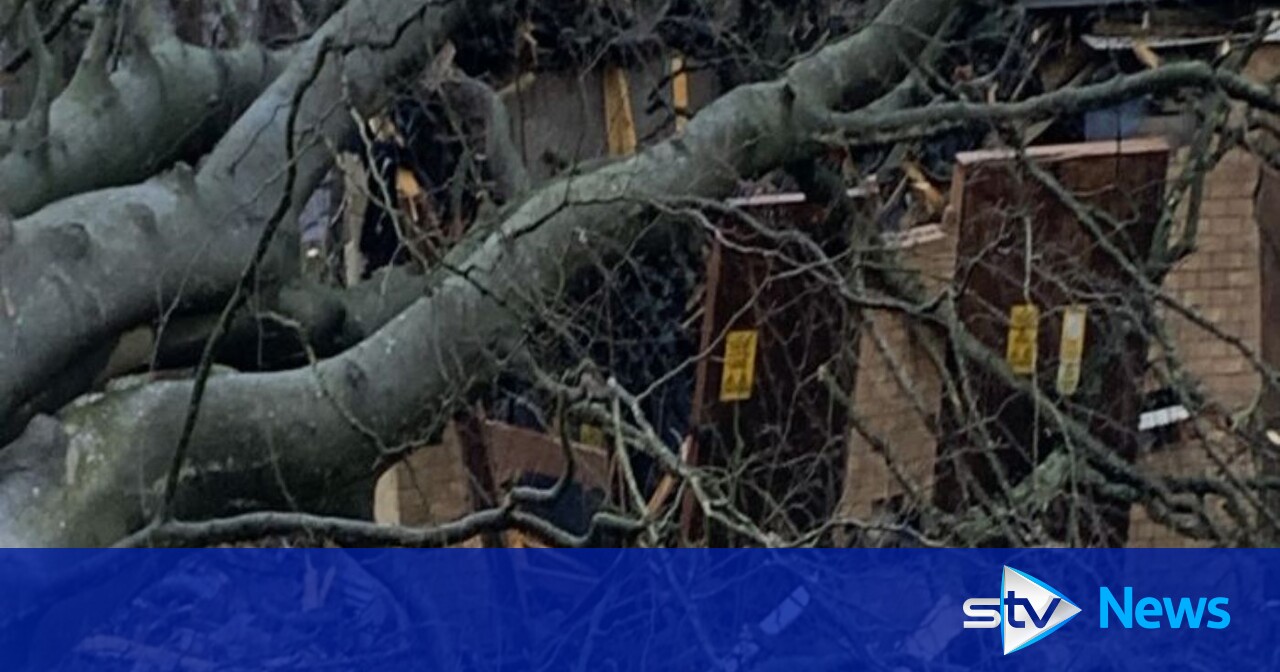 Power restored to hundreds of Larbert homes after four days without
