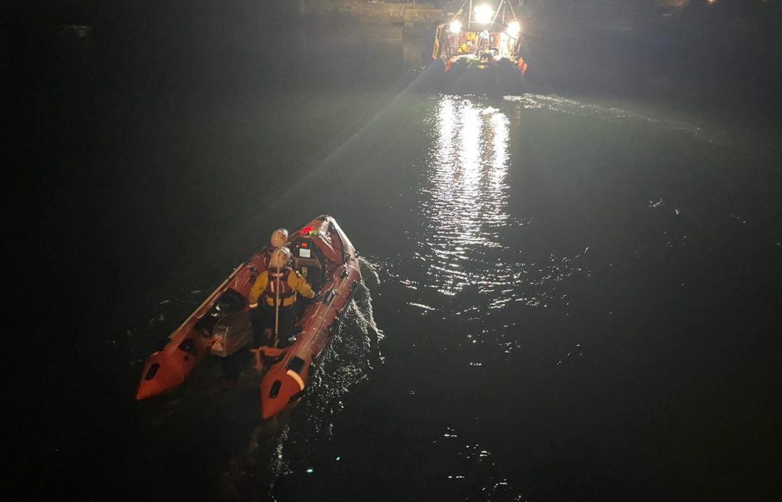 Dog dies after falling off cliff in East Lothian despite RNLI rescue mission as left owners ‘distraught’