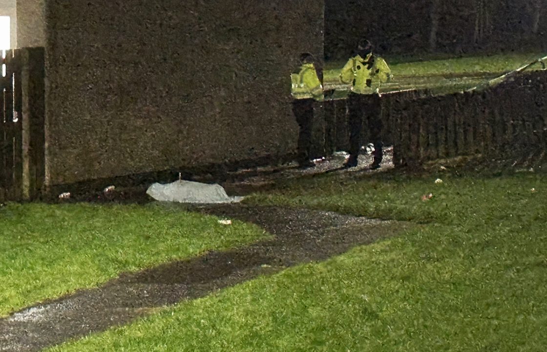 Man reported after dog shot dead by police following attack in Hamilton