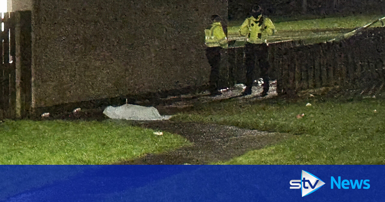Dog shot dead by Police Scotland after attack leaves Hamilton man ...