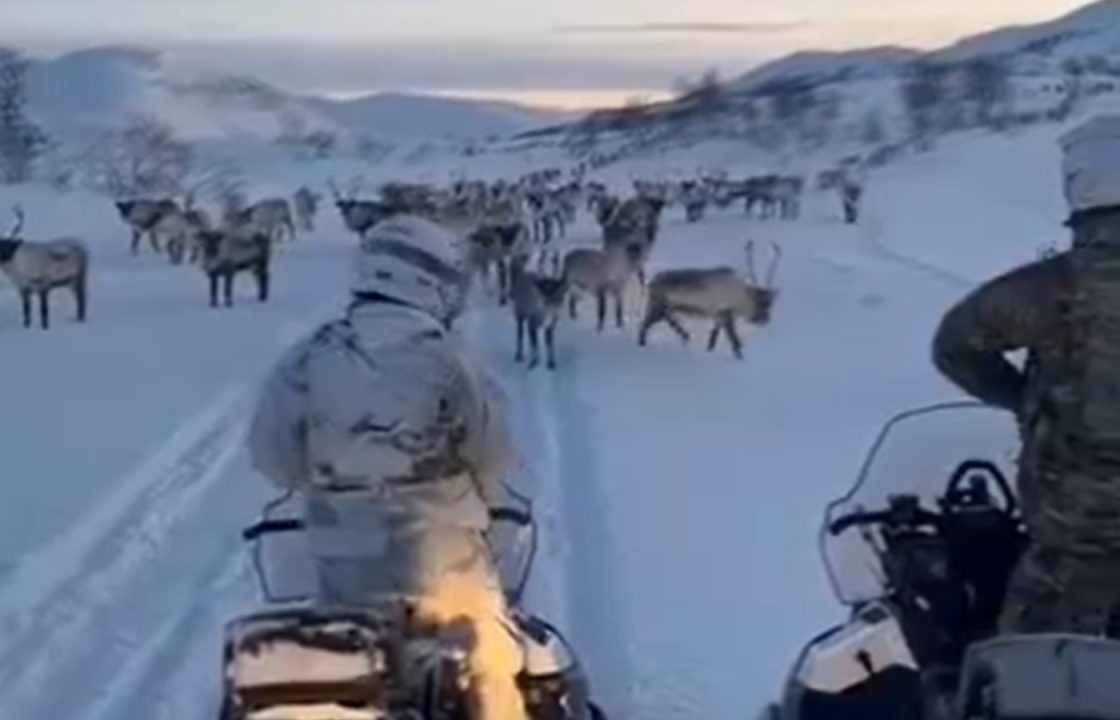 Royal Marines from Angus stuck in reindeer traffic jam in remote Norway