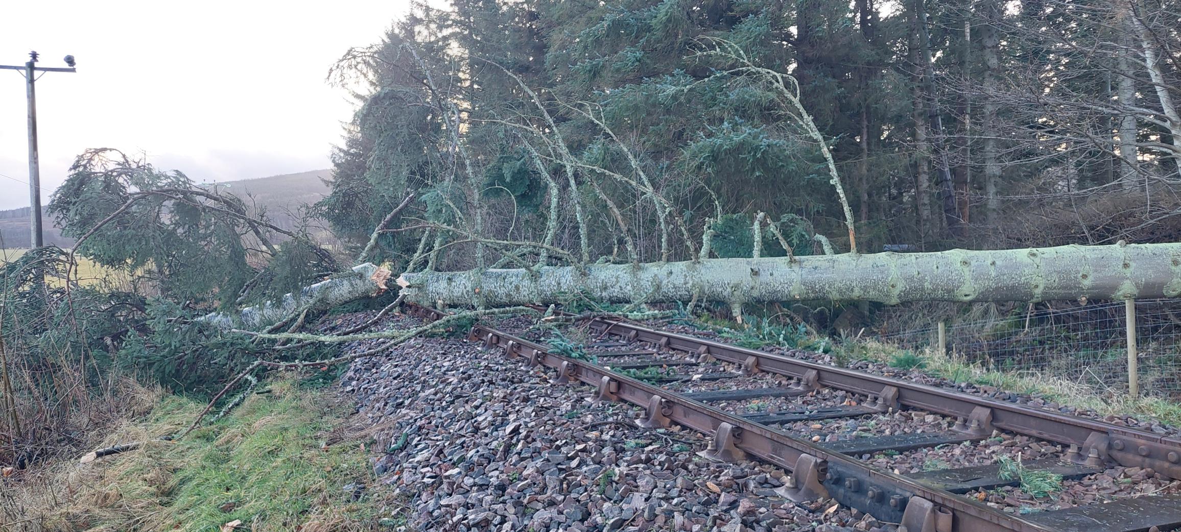 Tree on railway line during Storm Isha