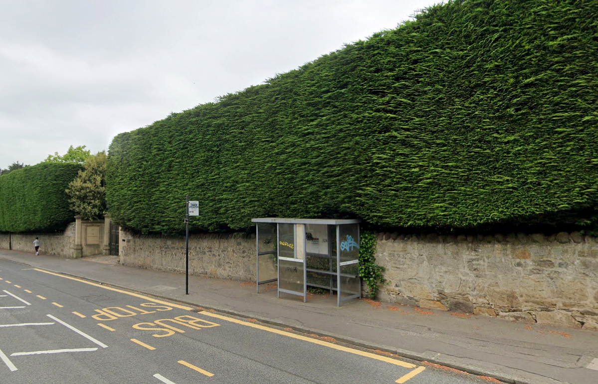 The Harry Potter author's Leylandii hedge.