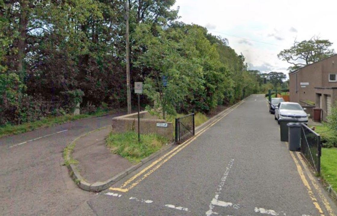 Teenager attacked near Edinburgh woods as police launch investigation
